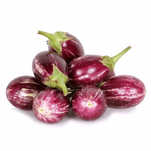 Fresh Brinjal