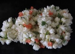 Fresh Jasmine Flowers(Gundumalli)-aptsomart online Florist