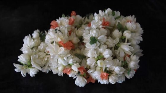 Fresh Jasmine Flowers(Gundumalli)-aptsomart online Florist