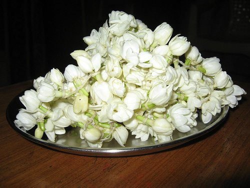 Fresh Jasmine Flowers-aptsomart online Florist
