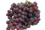 Black Grapes / கருப்பு  திராச்சை (2kg) Offer Price