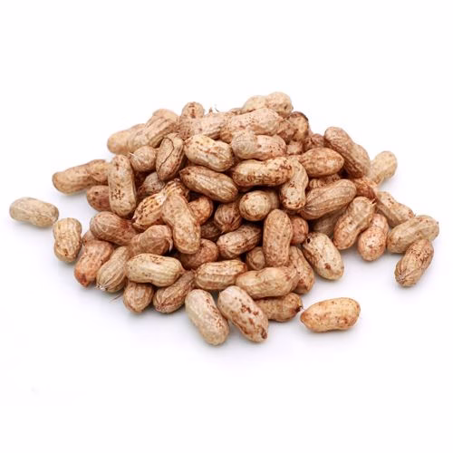 Groundnut