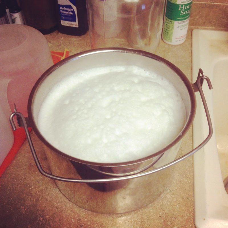 Nattu Madu-Cow Milk Directly from Aptso Mart Online Shopping StoreNattu Madu-Cow Milk Directly from Aptso Mart Online Shopping Store