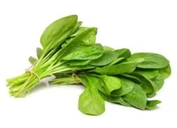 Spinach-Pasalai-keerai-Palakeerai