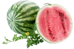 Watermelon / தர்பூசணி