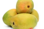 Mangoes / மாம்பழம்(1 Kg)