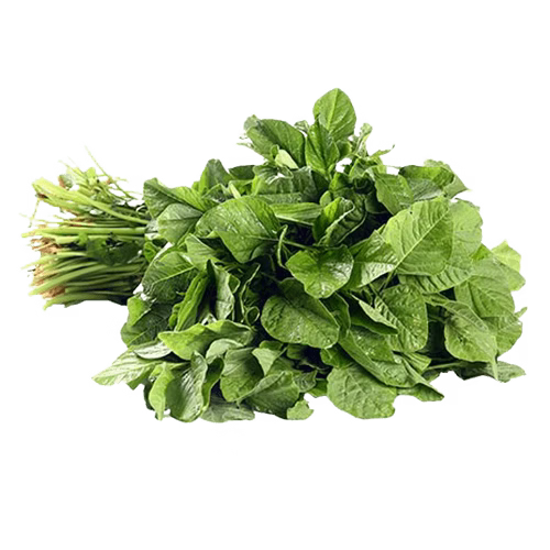 சிவப்பு தண்டுக்கீரை Shop Online from Aptso Mart