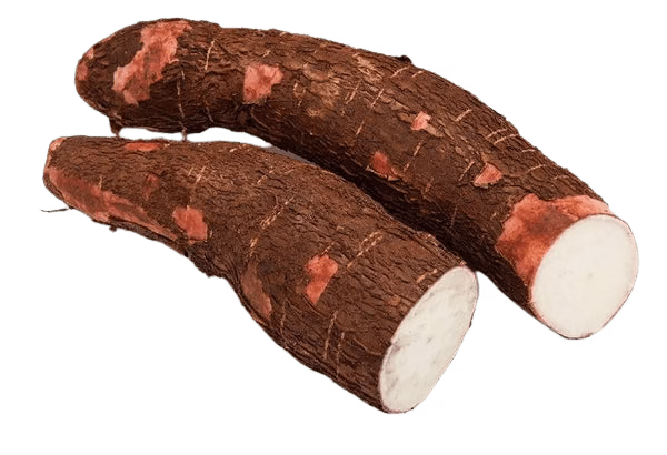 மரவள்ளி கிழங்கு