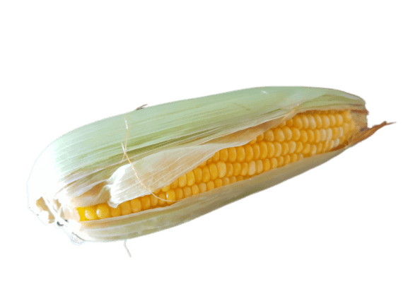 Sweet Corn from Aptsomart Online Grocery Shopping Store Ciombatore