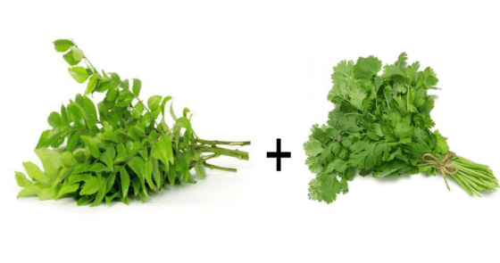 Curry Leaves and Coriander Leaves Aptsomart online Store