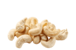 Panruti Cashew Nut / பண்ருட்டி முந்திரி பருப்பு(500g)