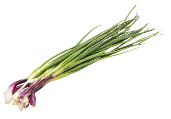 வெங்காயத்தாள்கள் Spring Onions