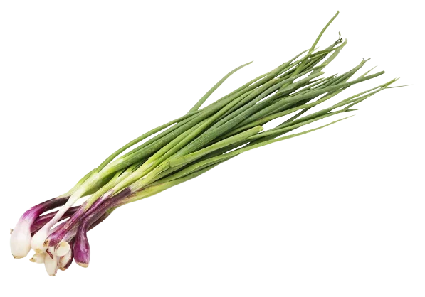 வெங்காயத்தாள்கள் Spring Onions