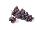 Grapes Panneer / பன்னீர் திராச்சை