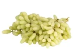 Seedless Green grapes / பச்சை திரச்சை