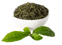 Premium Green tea உயர்தர பச்சை தேயிலை