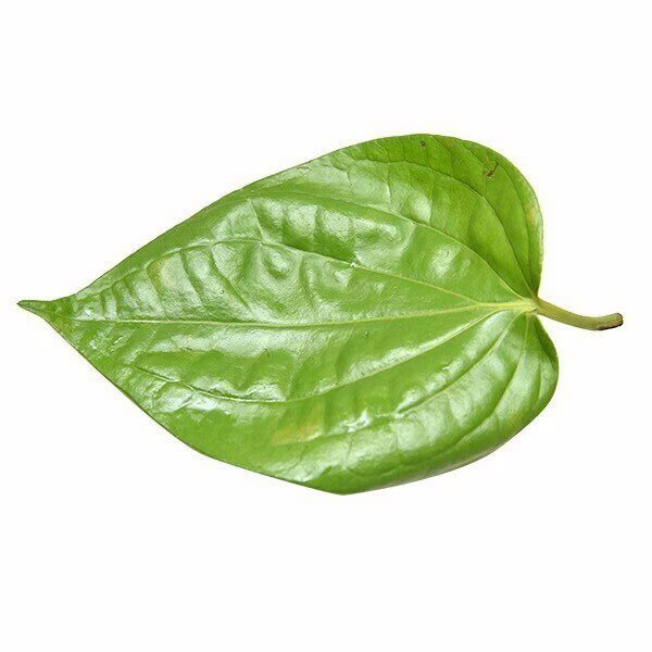 வெற்றிலை