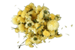 மஞ்சள் செவ்வந்தி fresh Yellow Sevvanthi Flower