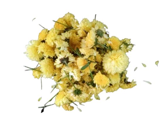 மஞ்சள் செவ்வந்தி fresh Yellow Sevvanthi Flower