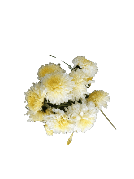 வெள்ளை செவ்வந்தி பூ White Sevvanthi Flowers