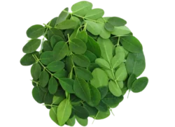 Chopped Drumstic Leaves
