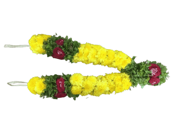 மஞ்சள் செவ்வந்தி மாலை Yellow Sevvanthi Flower Garlands