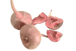 Yercaud Hill Fig fruit