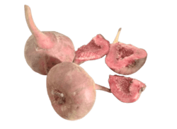Yercaud Hill Fig fruit