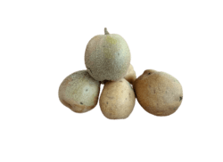ercaud Pear fruits ஏற்காடு பேரிக்காய்