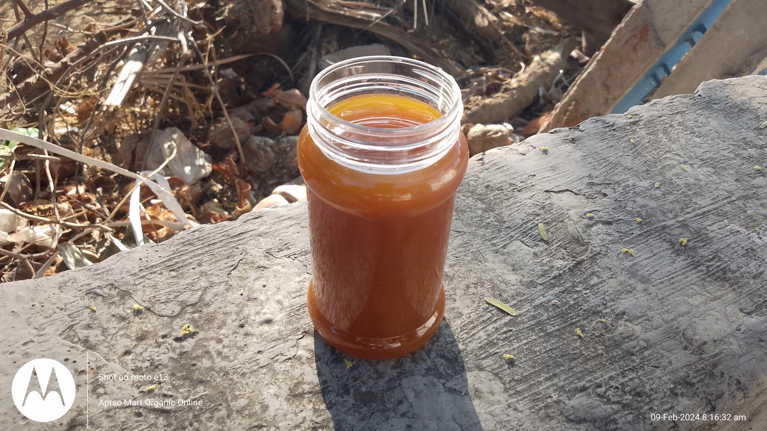 கொம்பு தேன்