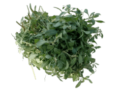 வெள்ளை பொன்னாங்கண்ணி கீரை White Native Ponnaganni Spinach from Aptso Mart Online