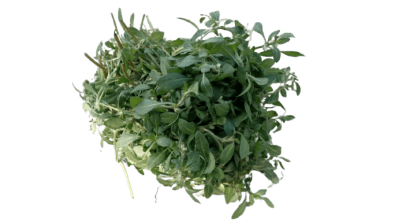 வெள்ளை பொன்னாங்கண்ணி கீரை White Native Ponnaganni Spinach from Aptso Mart Online